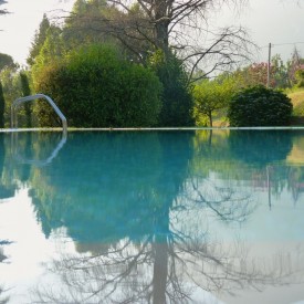 Villa Rosa - Pool
